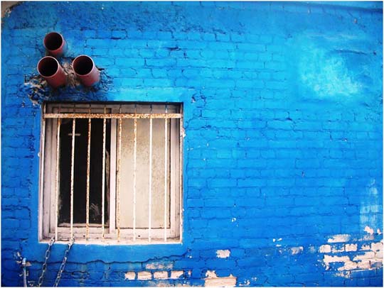 blue 
photographs color photography inspiration