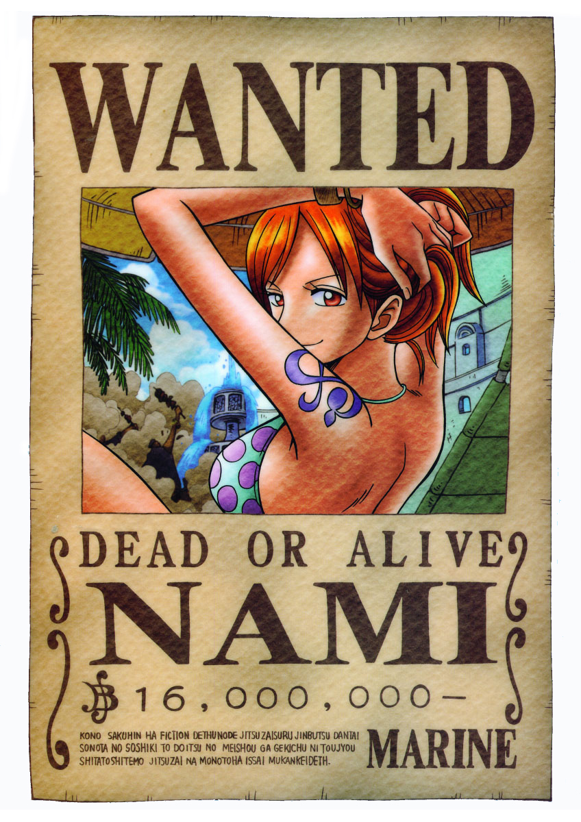 One Piece Nami  Nami Wanted Poster