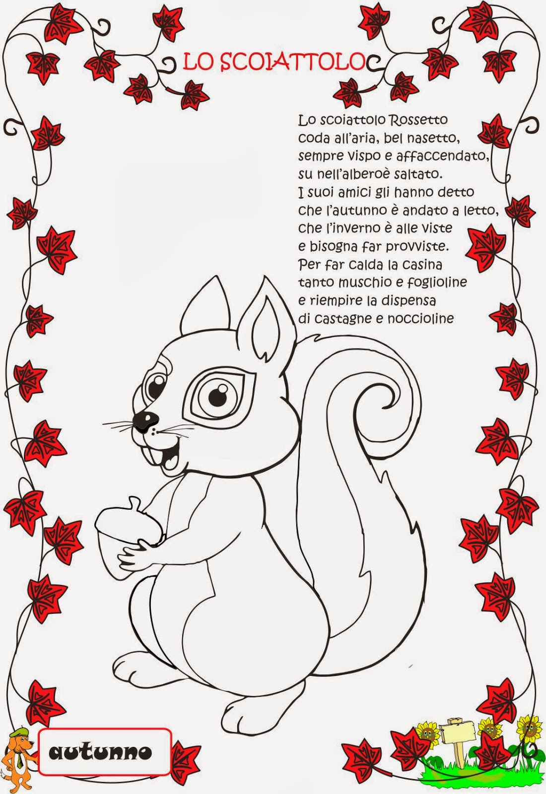 In Italia si trovano tre specie di scoiattoli quello rosso quasi in via di estinzione quello nero e quello grigio