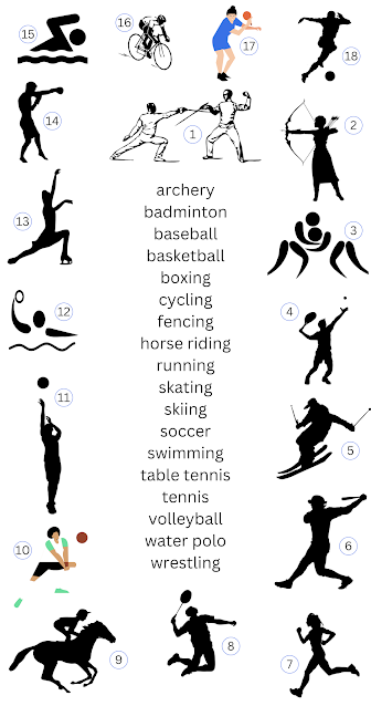 Sports vocabulary in English