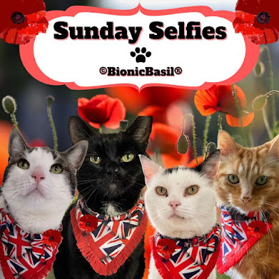 The B Team Sunday Selfies ©BionicBasil ® Remembrance Sunday Banner