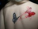 butterfly tattoo