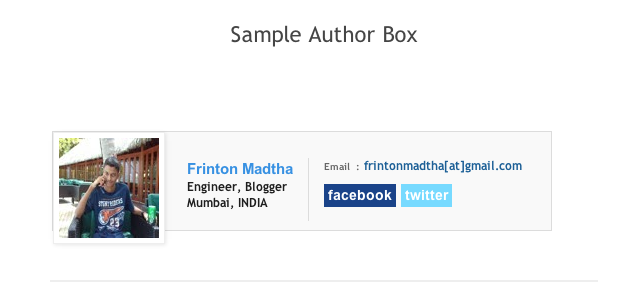 Simple Author Box Below your Blog Post