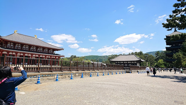 奈良公園 興福寺中金堂 興福寺東金堂 五重塔