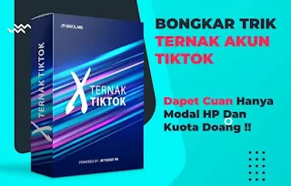 Bongkar trik ternak akun tiktok