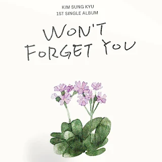 KIM SUNG KYU Won't Forget You