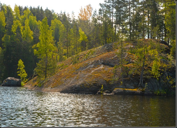 haukijärvi sudenkorento 033