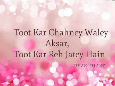 dear diary urdu poetry, love quotes, thoughts and silent words 17