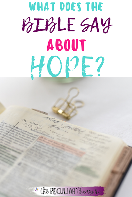The Bible says that Christians should hope in the Lord. What is true hope and what does the Bible say about the hope of the Lord? Learn about the hope the Lord gives believers today.