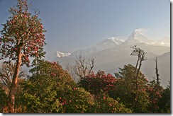 IMG_8579