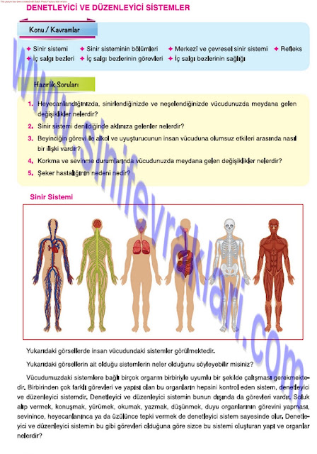 7. Sınıf Fen Bilimleri Ders Kitabı Cevapları Mevsim Yayınları Sayfa 30