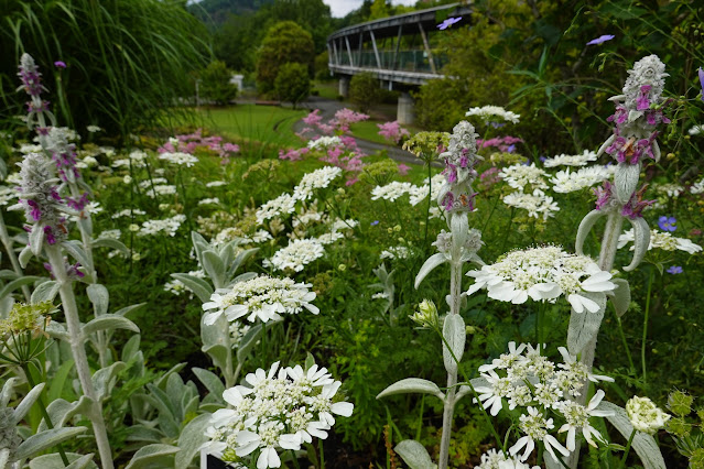 鳥取県西伯郡南部町鶴田 とっとり花回廊 グレイスガーデン