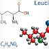 Leucina: Requisitos, Benefícios e Fontes de Alimentos