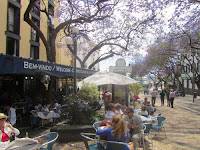 Main Old Town Square Funchal Madeira