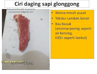 ciri daging glonggongan