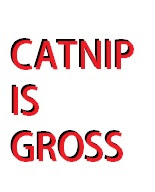 Catnip Is Gross, from Comedy video
