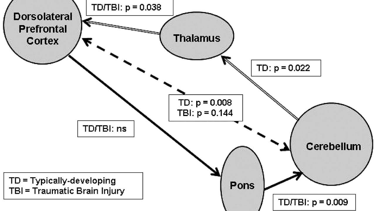 Cerebellar cognitive affective syndrome Injury