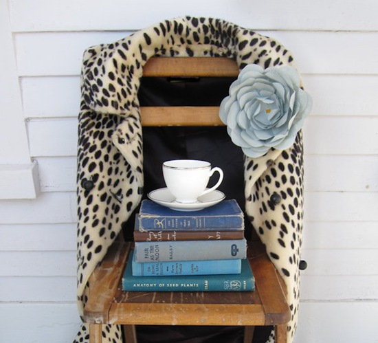 Book Jacket