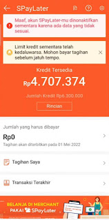 Cek Jumlah Tagihan Shopee PayLater