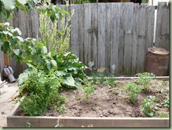 house and garden 018 (800x600)