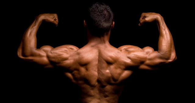 The Ultimate Back Workout For Bigger Back | Science Explained