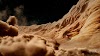 NASA’s $1 Billion Jupiter Probe Just Sent Back Stunning New Photos Of Jupiter