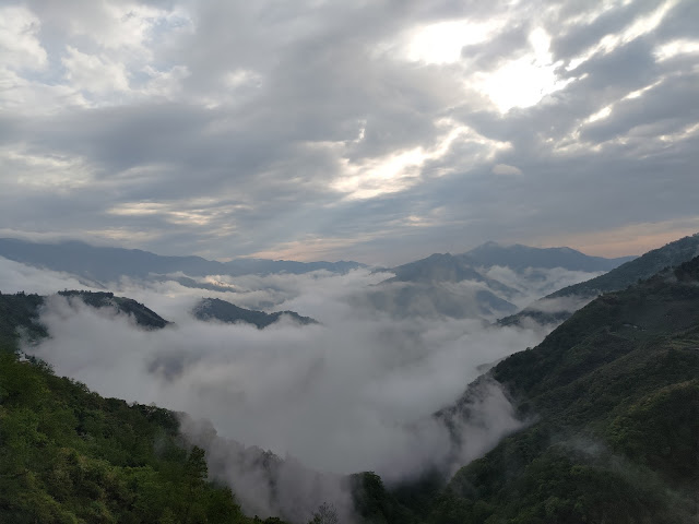 拉拉山國家森林遊樂區 - 雲海