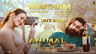 Marham Lyrics English Translation - Animal