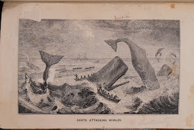 Image of boats attacking whales, 1836