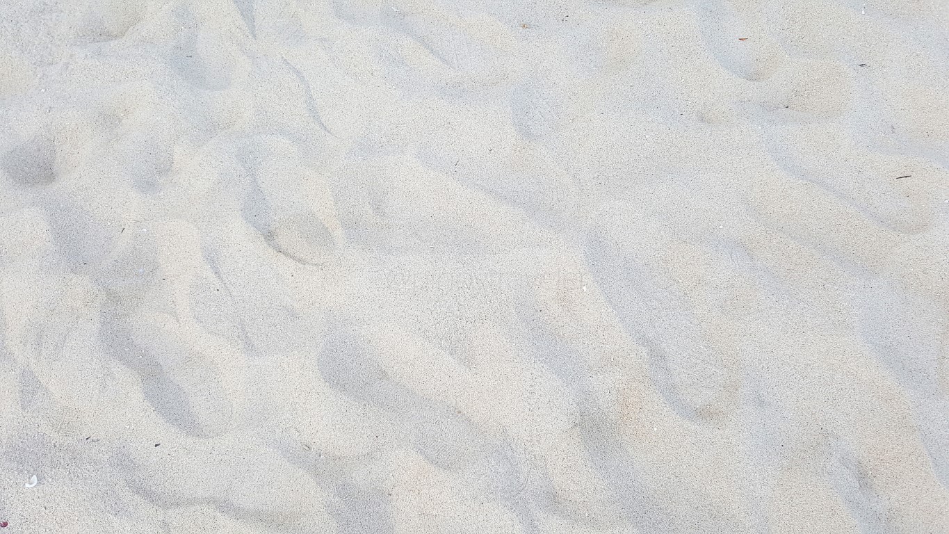 the powdery white sand beach at Isla Jardin Del Mar Resort in Glan, Sarangani