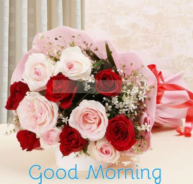 good morning rose guldasta image