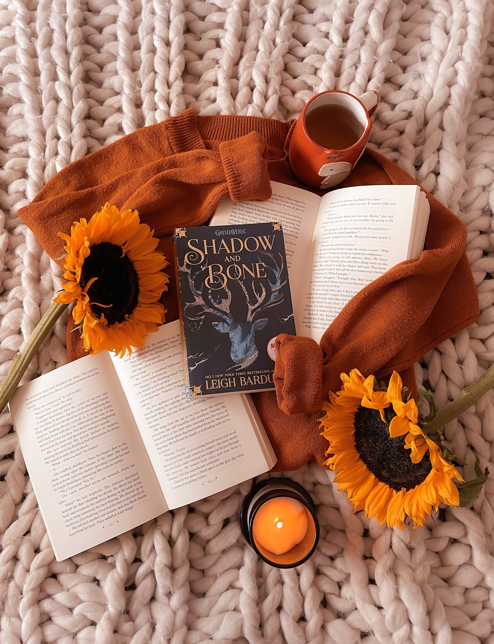 Shadow and Bone Trilogy Review