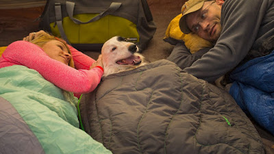 Ruffwear Highlands Sleeping Bag for Dogs, Make Your Pooch Warm And Cozy When Gets Cold In The Mountains