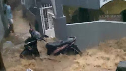  Bencana Tanah Longsor dan Pohon Tumbang di Desa Megamendung, 1 Orang Meninggal Dunia