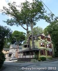 tree on porch