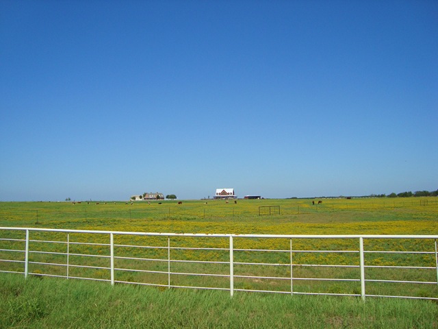 DSC01238