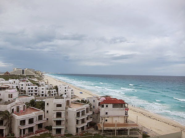 IMG_5905.JPG