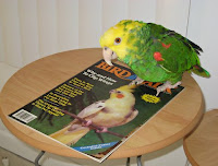 Bird Magazines