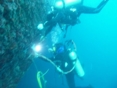 diver menggunakan broco cutting rods