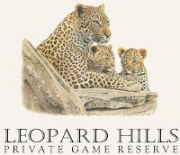 The Leopard Hills Lodge at the Sabi Sands Game Reserve in South Africa, a luxury resort with safari