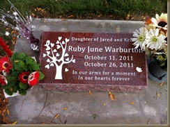 ruby9