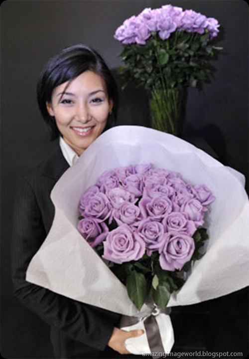 World's first genetically modified blue roses002