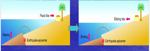 Gerakan vertikal pada kerak bumi mengakibatkan tsunami, https://bingkaiguru.blogspot.com