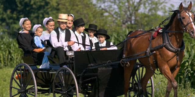 atlı arabada Amiş ailesi