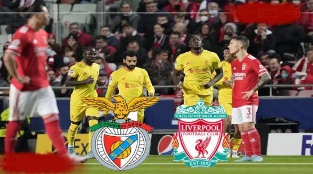 مشاهدة مباراة ليفربول وبنفيكا بث مباشر في دوري أبطال أوروبا اليوم