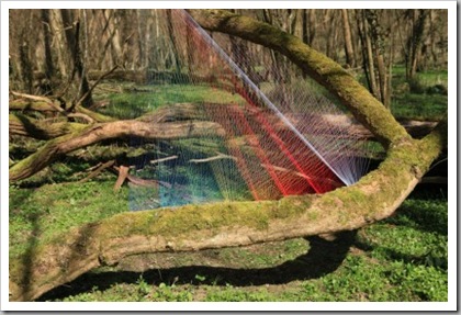 rainbow-forest-3-412x274