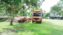 Tak Penuhi Unsur Pidana, KLHK Lepas Truk Muat 220 Batang Kayu