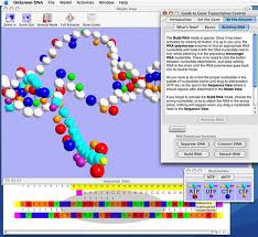 OnScreen DNA Lite:  Learn/Teach in Depth About the DNA Molecule's Structure
