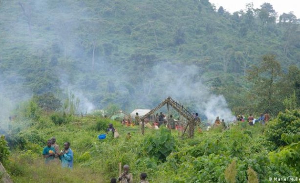 Ataques mortais a indígenas no Parque Nacional da República Democrática do Congo