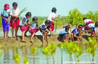 Cara untuk Menjaga Kelestarian Laut - pustakapengetahuan.com